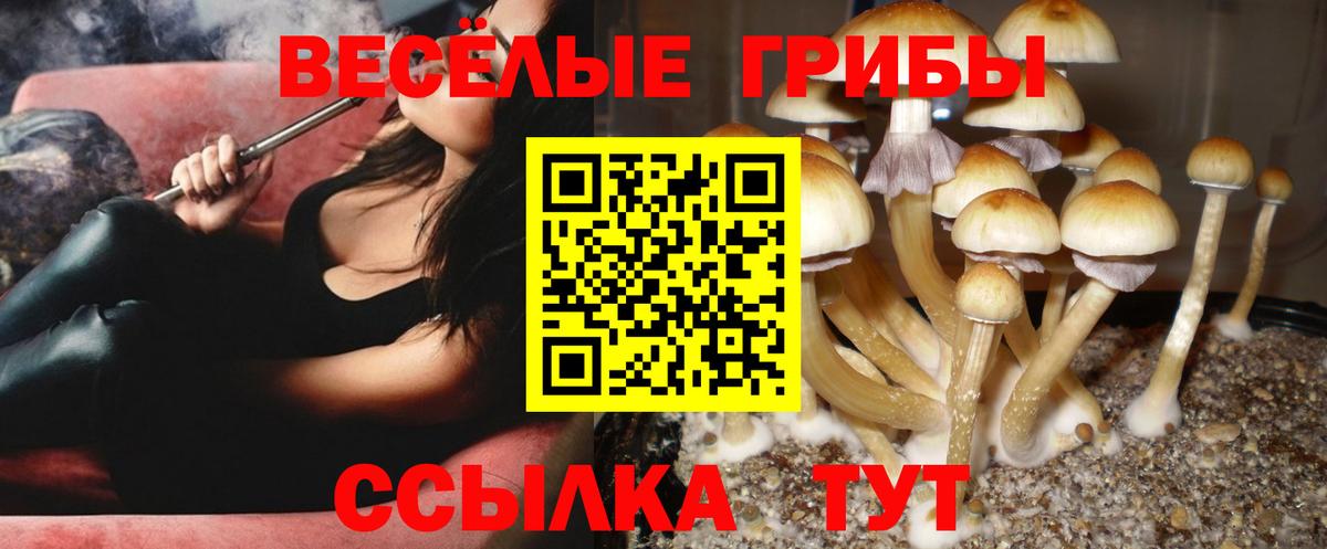 Галлюциногенные грибы MAGIC MUSHROOMS  Вход с VPN  Удомля 
